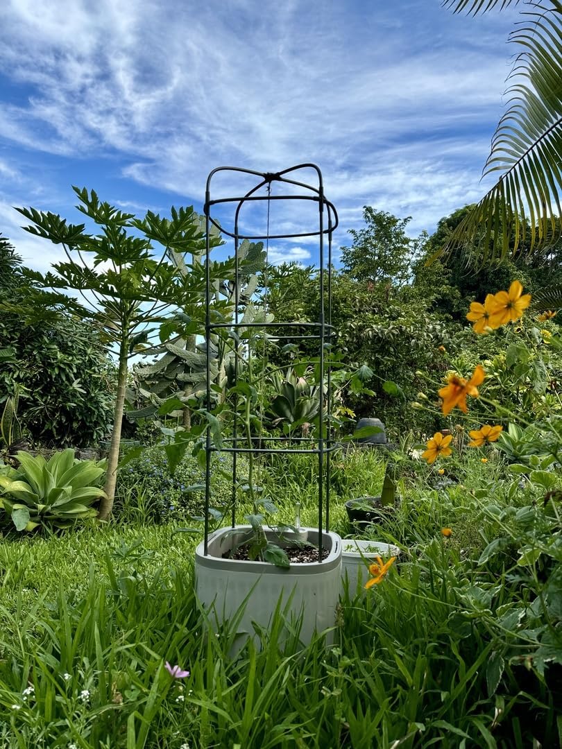 vego garden planter