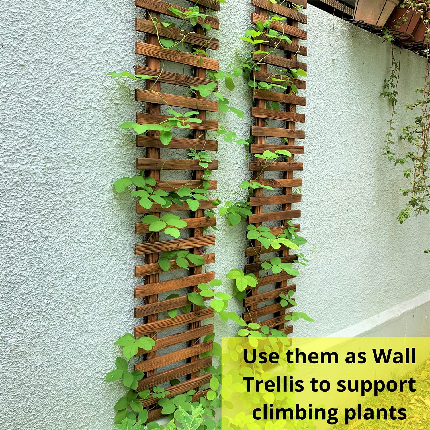 ShopLaLa wall planter